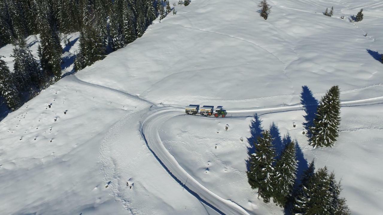 Ski In-Ski Out - Gaestehaeuser Saalbach-Hinterglemm - Wallegghof Christianhof Exteriör bild